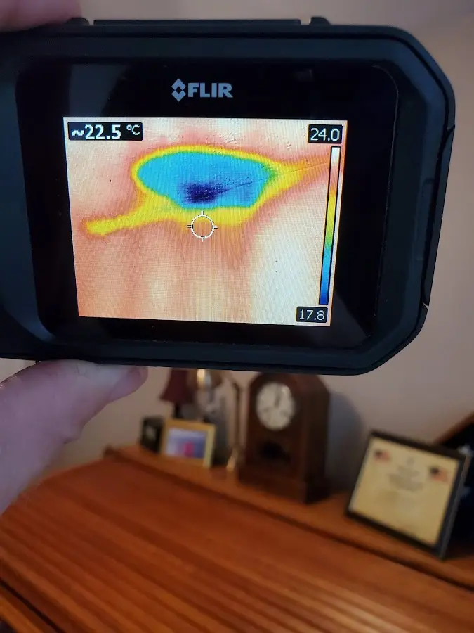 Thermal imaging inspection for water damage in Robinson